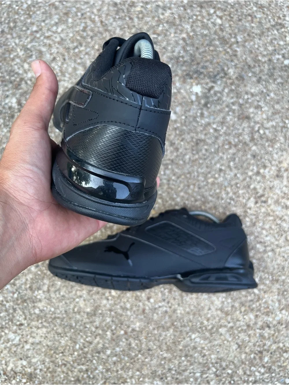Puma tazon fracture